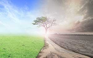 Effects of Spiritual Decline