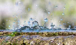 The Latter Rain