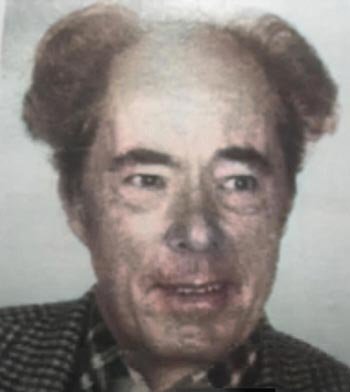 Johan van Bruggen